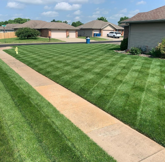 😱Hot Sale Green🤩Grass Lawn Spray💯